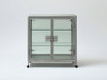 Vitrinas de metal y vidrio 90x40x110 cm - Gris envejecido - 2 puertas y estilo industrial